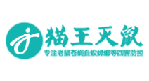 成都貓王滅鼠網(wǎng)站推廣優(yōu)化案例